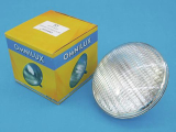 Bazénová PAR žárovka PAR-56 12V/300W WFL swimming pool