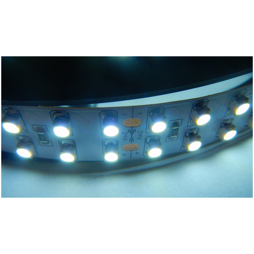 Fotografie LED páska SMD3528, studená bílá, 24V, 1m, 240 LED/m
