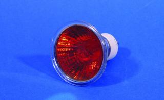 Halogenová lampa 230V/50W GU-10 25° Omnilux, červená